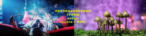 стафф Богородицк