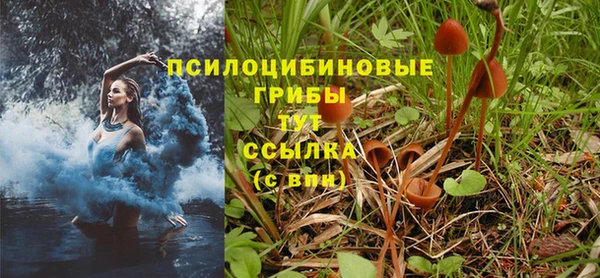 скорость Богородск