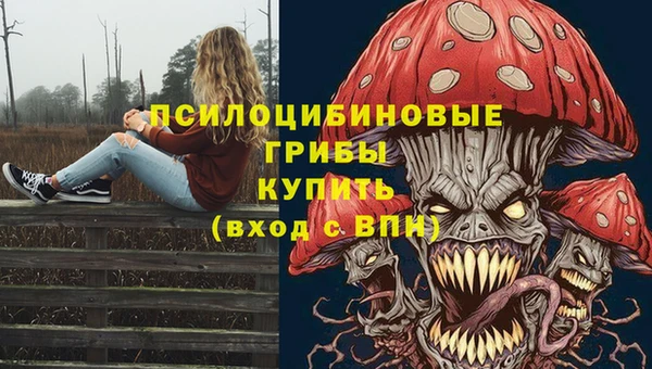не бодяженный Белокуриха