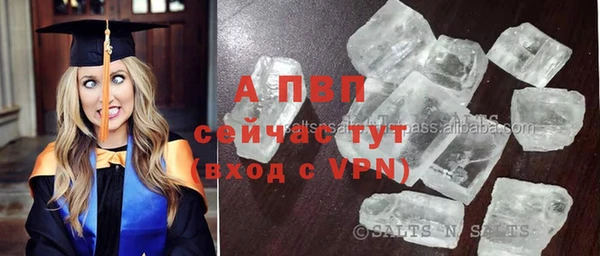 не бодяженный Белокуриха