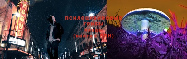 не бодяженный Белокуриха