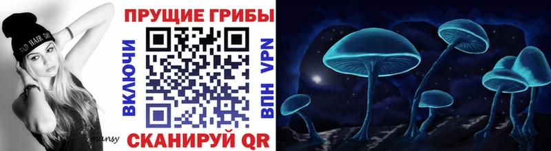 Галлюциногенные грибы Psilocybe  Славгород 